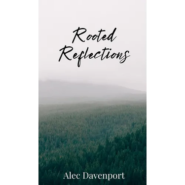 Rooted Reflections