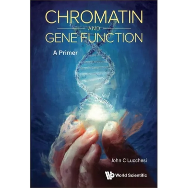 Chromatin and Gene Function: A Primer