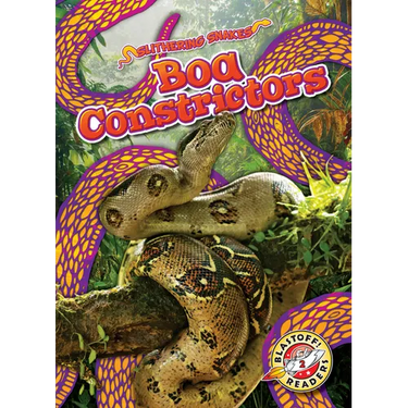 Boa Constrictors