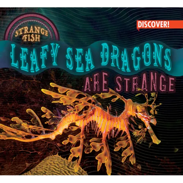 Leafy Sea Dragons Are Strange