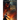 Blood of Hope