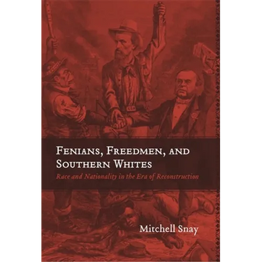 Fenians, Freedmen, and Southern Whites: Race and Nationality in the Era of Reconstruction