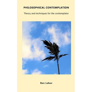 Philosophical Contemplation: Theory and techniques for the contemplator