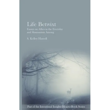 Life Betwixt: Essays on Allies in the Everyday and Shamanism Among