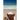 Reflections66