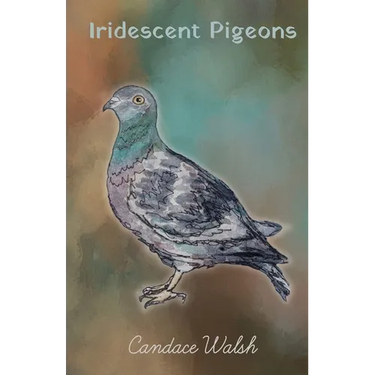 Iridescent Pigeons