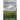After the Rain