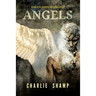 Angels: A Biblical School of Living Light