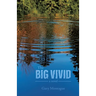 The Big Vivid