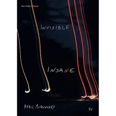 Invisible Insane