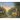 A Shadow in the Forest