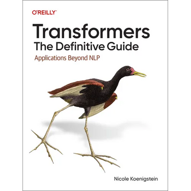 Transformers: The Definitive Guide: Applications Beyond Nlp