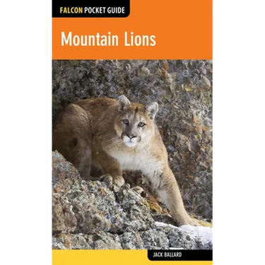 Mountain Lions