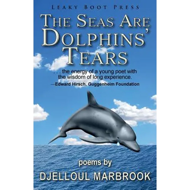 The Seas Are Dolphins' Tears