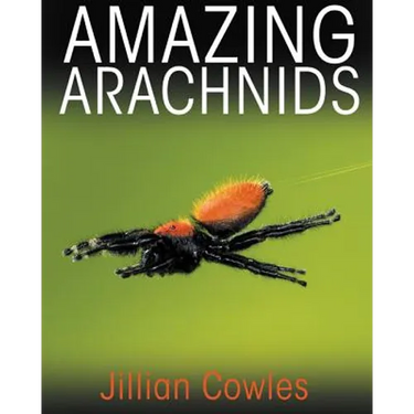 Amazing Arachnids