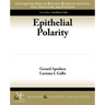 Epithelial Polarity