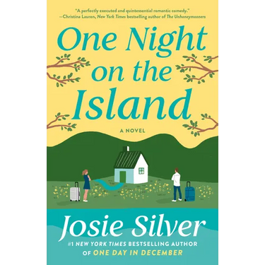 One Night on the Island