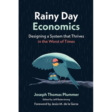 Rainy Day Economics: Designing a System that Thrives in the Worst of Times