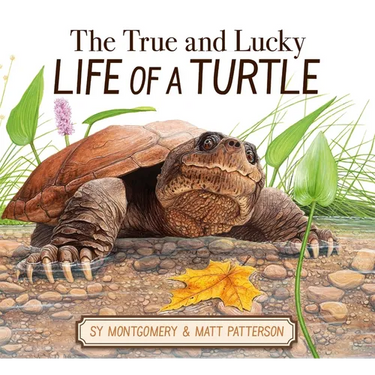 The True and Lucky Life of a Turtle
