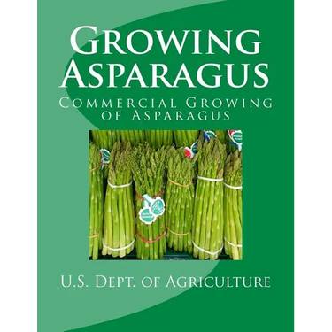 Growing Asparagus: Commercial Growing of Asparagus