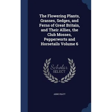 The Flowering Plants, Grasses, Sedges, and Ferns of Great Britain, and Their Allies, the Club Mosses, Pepperworts and Horsetails Volume 6