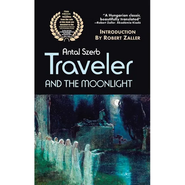 Traveler and the Moonlight