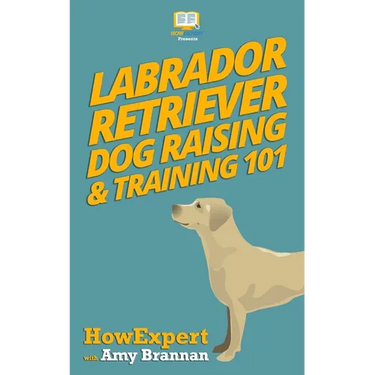 Labrador Retriever Dog Raising & Training 101