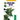 Agricultural Botany