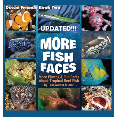 More Fish Faces UPDATED: Updated Photos and Fun Facts about Tropical Reef Fish