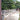 Verge Gardens of Havana, Cuba: A Travel Photo Art Book