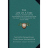 The Life Of A Tree: Being A History Of The Phenomena Of Vegetation From The Seed To The Death Of The Plant (1849)