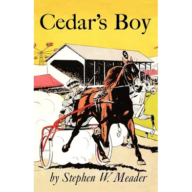Cedar's Boy