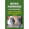 Quail Farming For Beginners: The Most Important Things You Need To Know