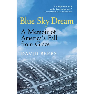 Blue Sky Dream: A Memoir of American (Ameri)Ca's Fall from Grace