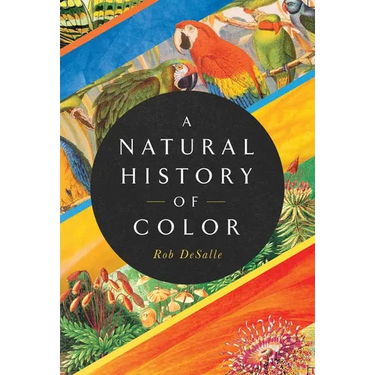 A Natural History of Color: The Science Behind What We See and How We See It