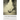 The Fire Passage