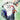 Rooster's Ruse (Softcover - Lulu Publishing): The Truth of The Matter