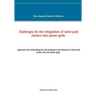 Challenges for the integration of wind park clusters into power grids: Approach and methodology for the integration and dispatch of wind park clusters