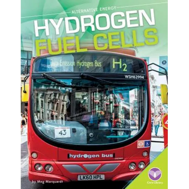 Hydrogen Fuel Cells