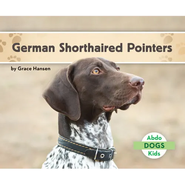 German Shorthaired Pointers