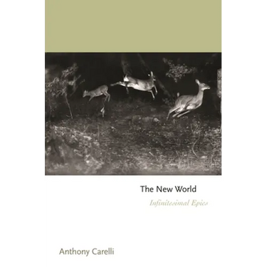 The New World: Infinitesimal Epics