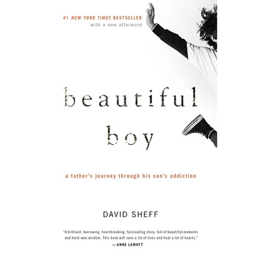 Beautiful Boy: A Father's Journey Through His Son's Addiction