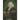 Through the Year with Charles Wesley: 365 Daily Readings from Charles Wesley