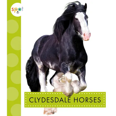 Clydesdale Horses