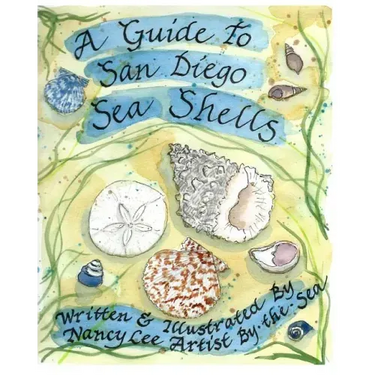 A Guide to San Diego Sea Shells