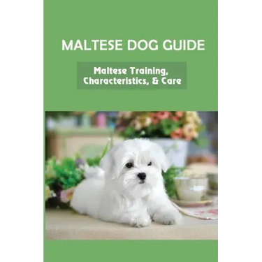 Maltese Dog Guide: Maltese Training, Characteristics, & Care: Alpha Dog For Maltese Dog