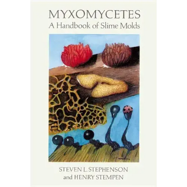 Myxomycetes
