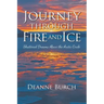 Journey Through Fire and Ice: Shattered Dreams Above the Arctic Circle