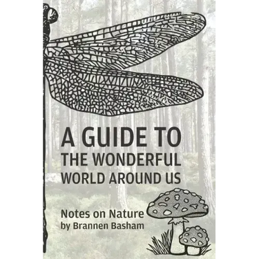 A Guide to the Wonderful World Around Us: Notes on Nature