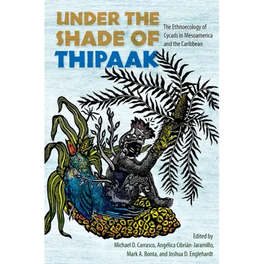 Under the Shade of Thipaak: The Ethnoecology of Cycads in Mesoamerica and the Caribbean
